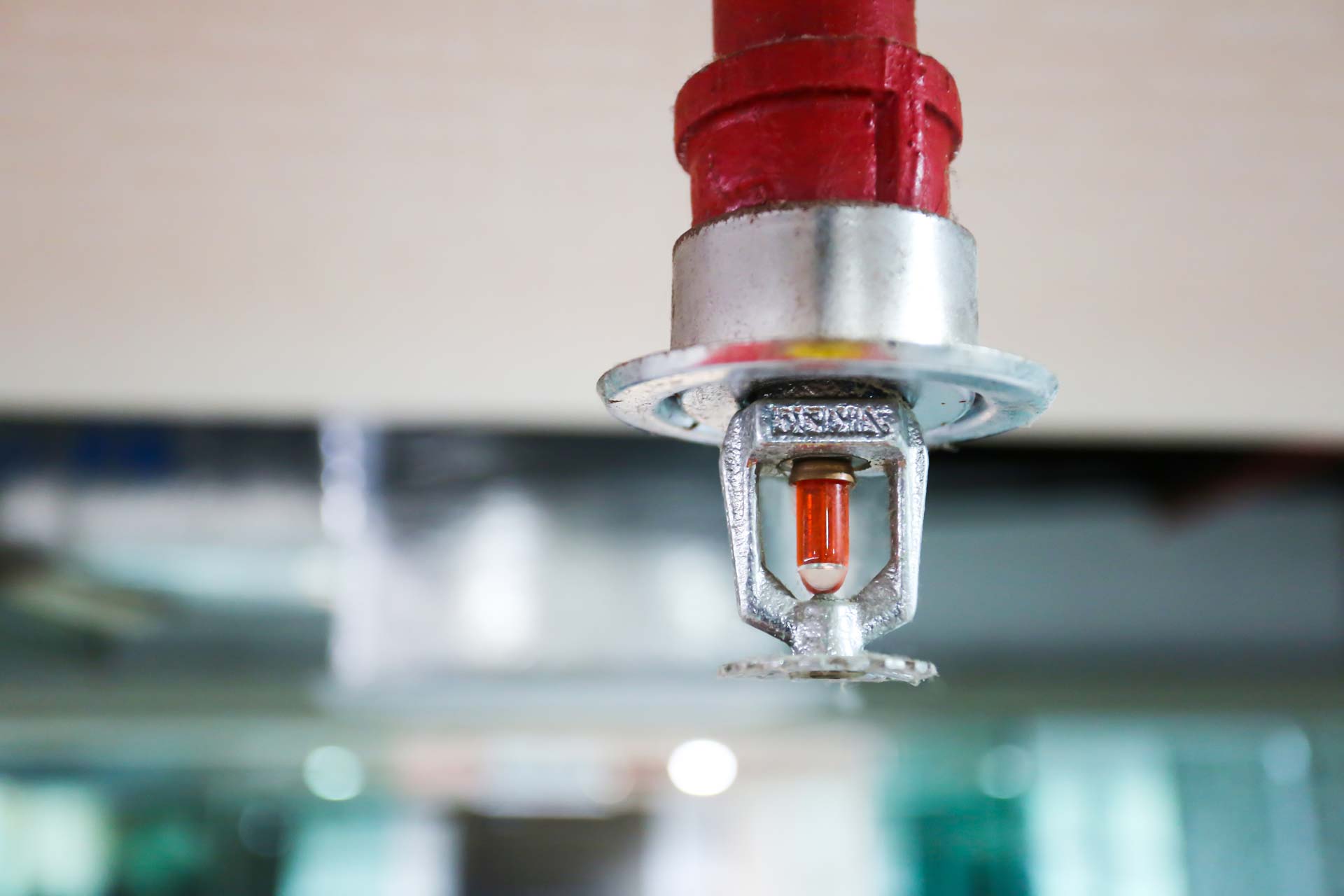 Fire Sprinkler Systems 101: The Five Types Every Business Owner Should Know 1 Close-up of a ceiling-mounted red fire sprinkler systems head with a glass bulb, part of a commercial fire protection system for buildings and offices.